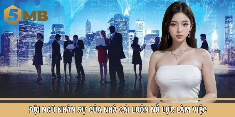 Đội ngũ nhân sự của nhà cái luôn nỗ lực làm việc