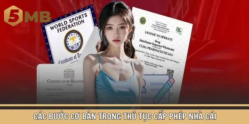 Các bước cơ bản trong thủ tục cấp phép nhà cái