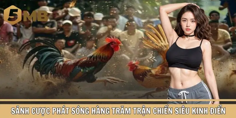 Sảnh cược phát sóng hàng trăm trận chiến siêu kinh điển